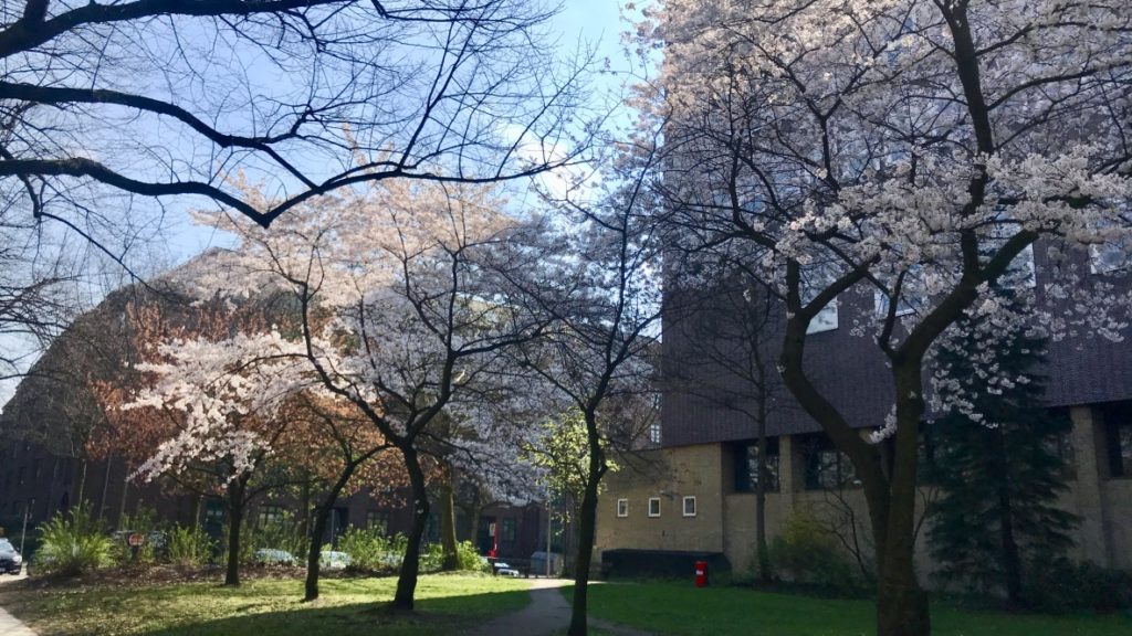 Die Ruhe vor dem Sturm