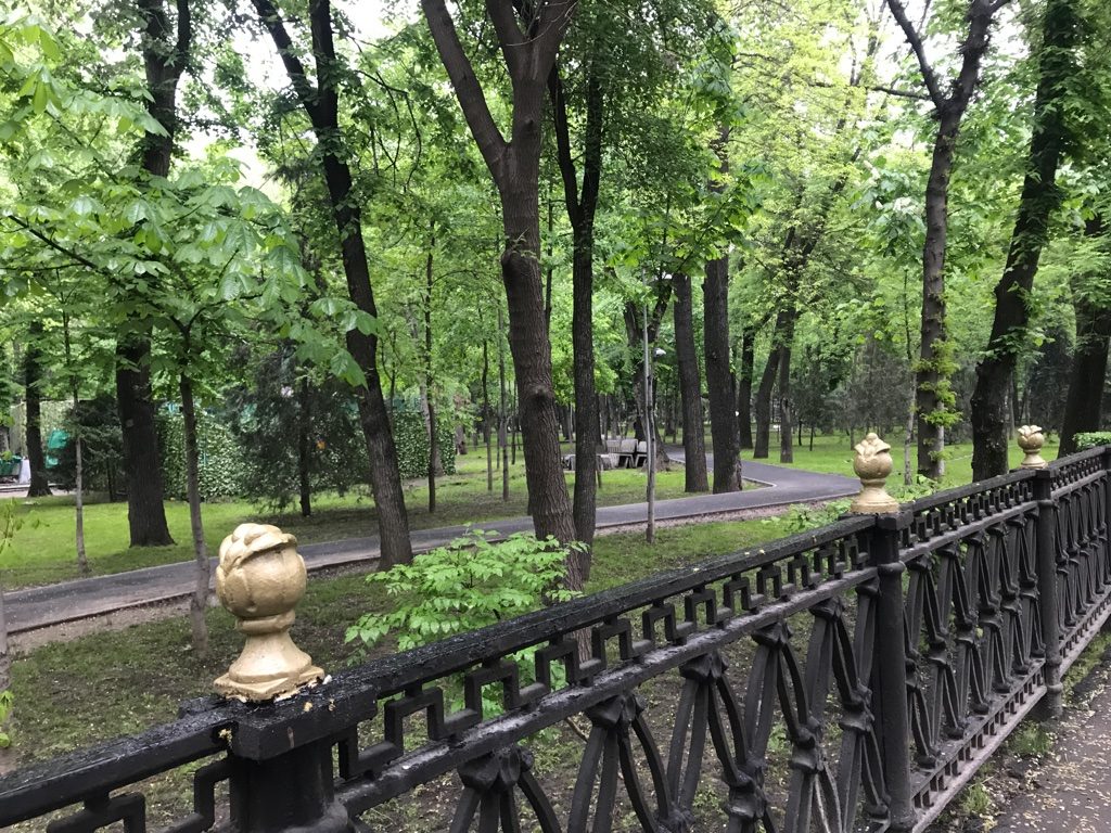 5 Dinge, die man in Almaty unbedingt machen sollte